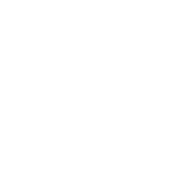 STVL Logo